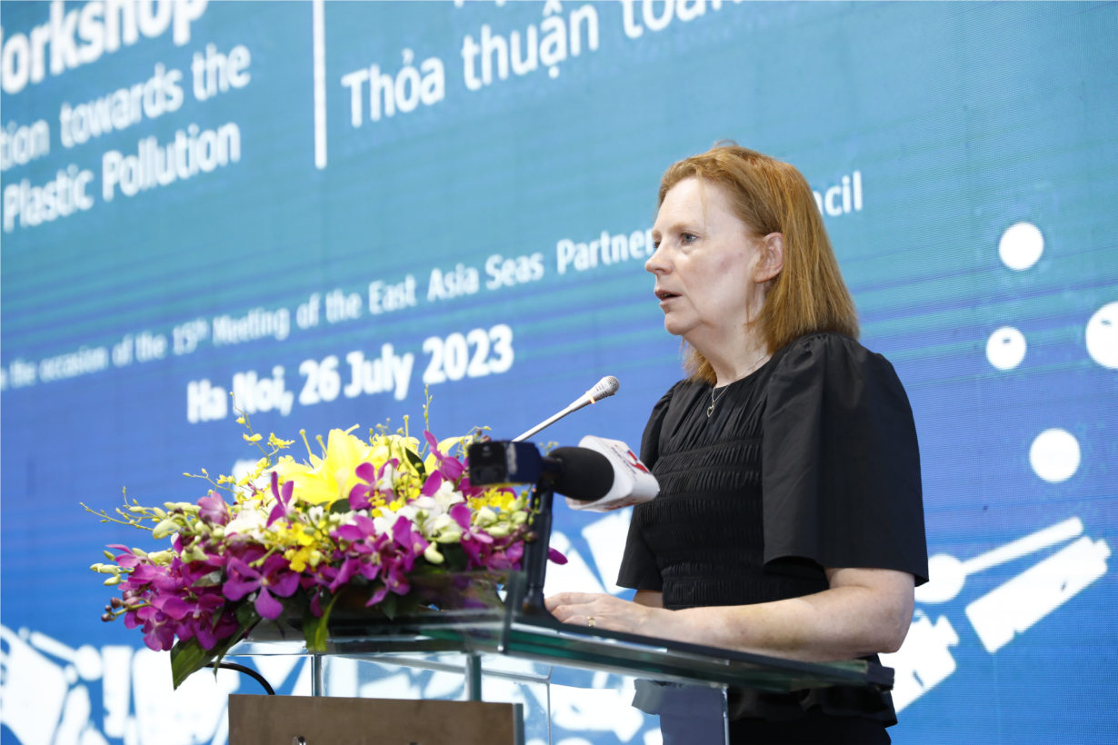 Việt Nam thúc đẩy hợp tác khu vực hướng tới 